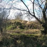 Grabhügel Arkebeker Feld