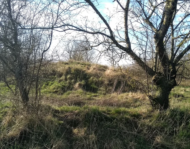 Grabhügel Arkebeker Feld
