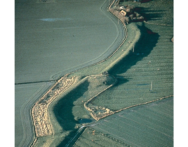 Dorfwurt Großbüttel