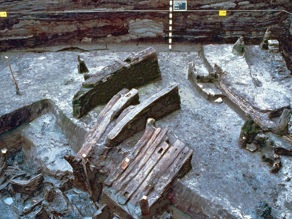 Dorfwurt Wellinghusen