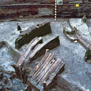 Dorfwurt Wellinghusen