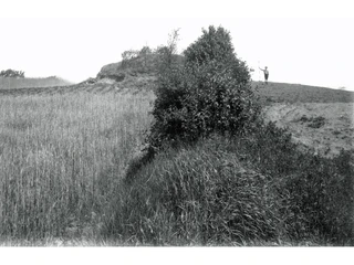 Grabhügel auf den Heilohkoppeln