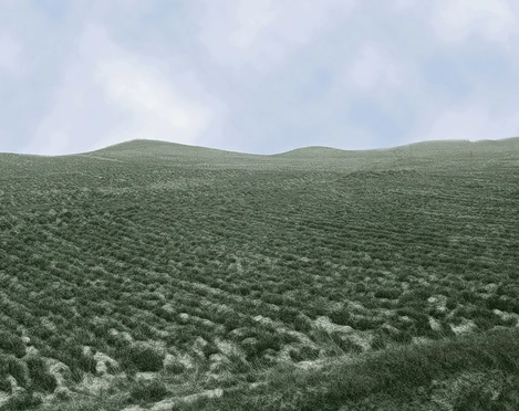 Dithmarscher Schweiz