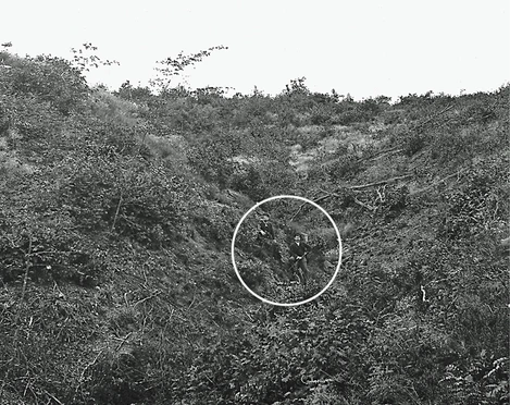 Dithmarscher Schweiz