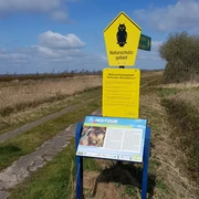Dellstedter Birkwildmoor
