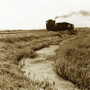 Moore um die Tielenau