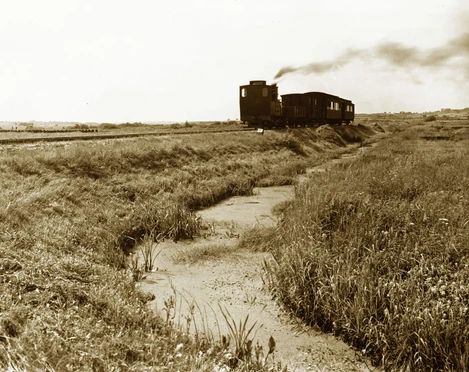 Moore um die Tielenau