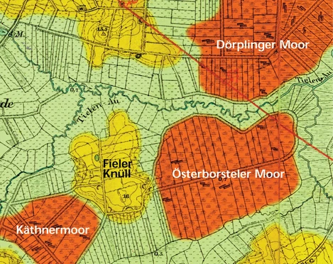 Moore um die Tielenau