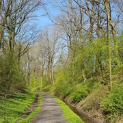 Kleinbahneinschnitt