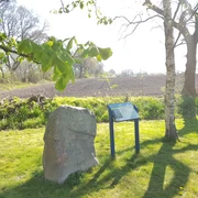 Sühnestein Schalkholz