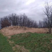 Grabhügelfeld Hopen