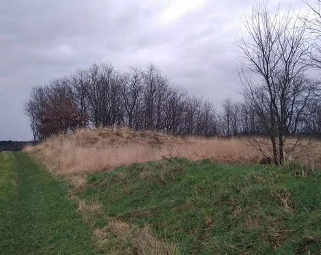 Grabhügelfeld Hopen