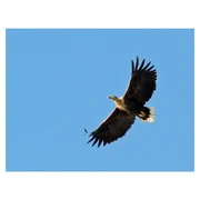 Naturschutzgebiet Kudensee