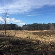 Gudendorfer Heide