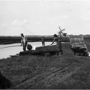 Eggstedter Moor