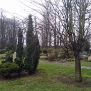 Nordfriedhof Heide