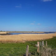 Eidervorland Nordfeld