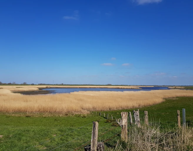 Eidervorland Nordfeld