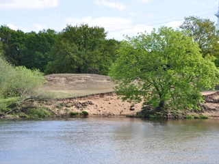 Meppener Kuhweide