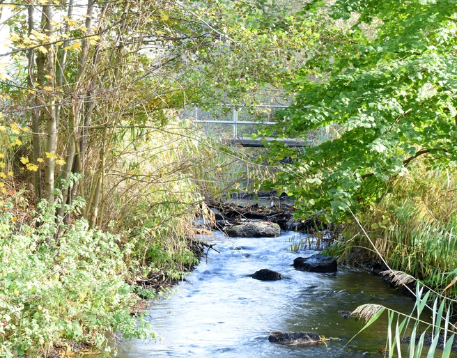 Naturschutzgebiet Borkener Paradies mit Aussichtspunkt