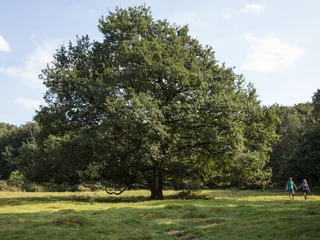 Naturschutzgebiet Borkener Paradies mit Aussichtspunkt