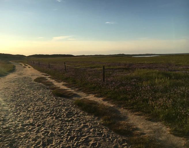 Weg an der Hörnumer Nehrung im Sonennuntergang