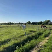 Pferdehof Sylt