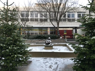 Die Wilhelmine im Schnee