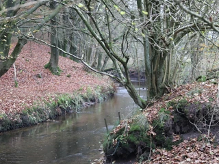 Gieselau fließt durch das Gieselautal