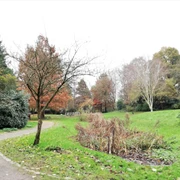 Baumgarten im Luftkurort Burg/Dithmarschen