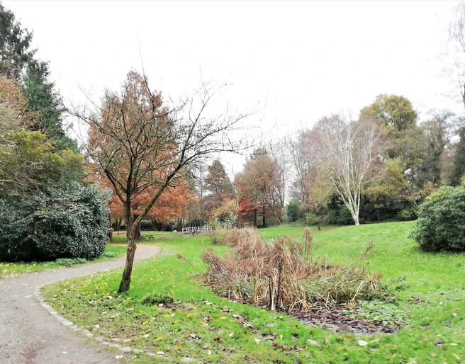 Baumgarten im Luftkurort Burg/Dithmarschen