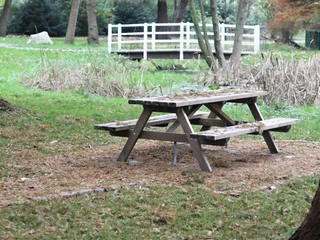 Baumgarten im Luftkurort Burg/Dithmarschen