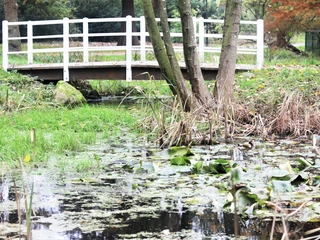 Baumgarten im Luftkurort Burg/Dithmarschen