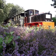 20190823_092857-klein