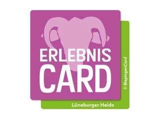 Kino: MAVKA. Lisova pisnya - Die Hüterin des Waldes (FSK: ab 6 Jahre)