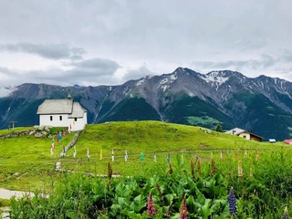 Aussicht Alchemilla