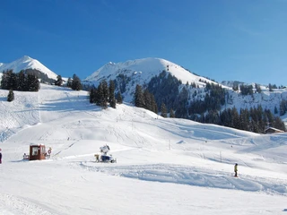 naturpark-diemtigtal-winter-springenboden-ski-snowboard-niesenkette