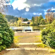 Blick auf den Kurparkteich und Bühne