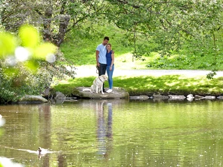 Pärchen beim Spaziergang mit dem Hund
