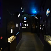 FledermausReich Ausstellung