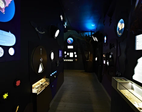 FledermausReich Ausstellung