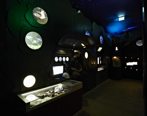 FledermausReich Ausstellung