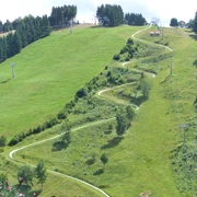 Sommerrodelbahn