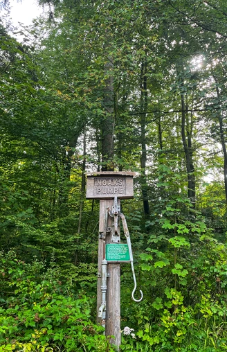 Ein bewaldeter Bereich mit einer handbetriebenen Wasserpumpe aus Holz, umgeben von dichtem Grün.