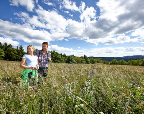 Bergwiesenportal Hohegeiß