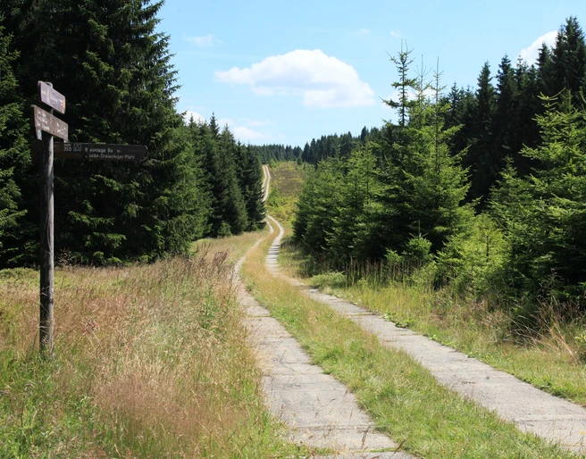 Harzer Grenzweg, Kolonnenweg