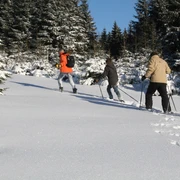 Schneeschuhwandern Harz Vital & Aktiv