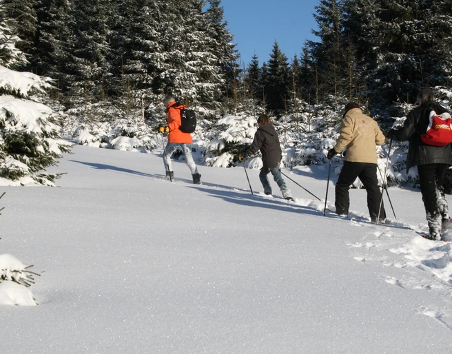 Schneeschuhwandern Harz Vital & Aktiv