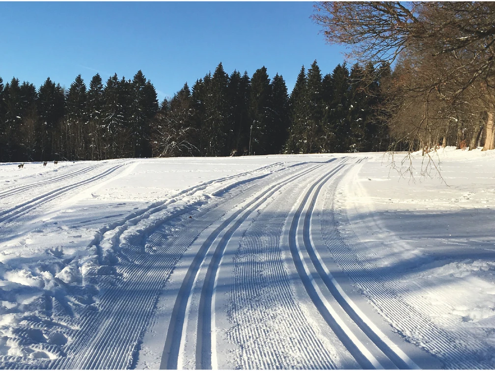 Langlauf Harz Vital & Aktiv