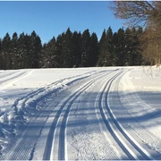 Langlauf Harz Vital & Aktiv
